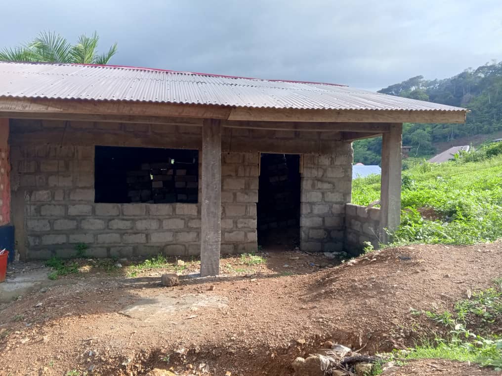 Mission, Sierra Leone